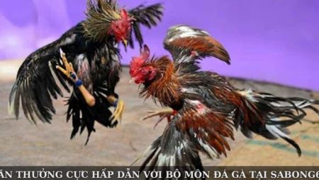 Săn Thưởng Cực Hấp Dẫn Với Bộ Môn Đá Gà Tại Sabong67