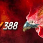 Nhà cái SV388 – Sân Chơi Cá Cược Uy Tín Và An Toàn