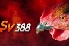 Nhà cái SV388 – Sân Chơi Cá Cược Uy Tín Và An Toàn