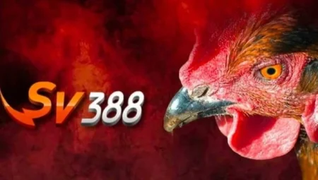 Nhà cái SV388 – Sân Chơi Cá Cược Uy Tín Và An Toàn